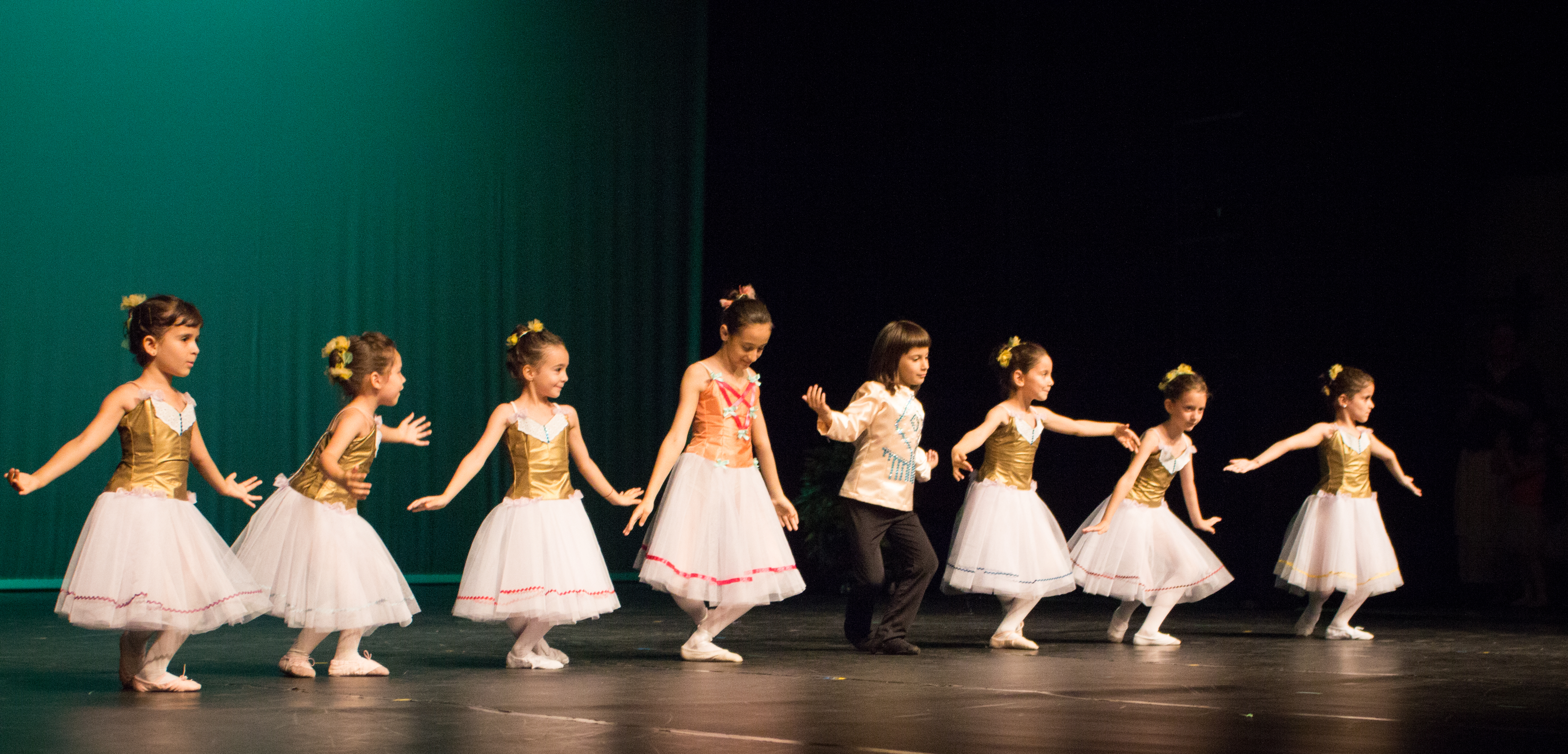 IMG_1605Recital Balet Adulti 2016